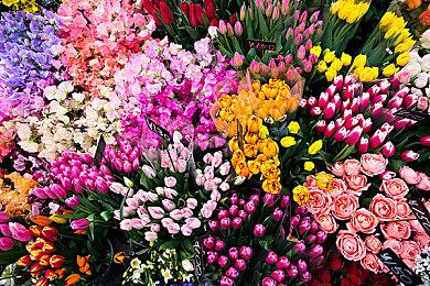 《STREAM STRATOS》Steam页面上线 3D空间战斗