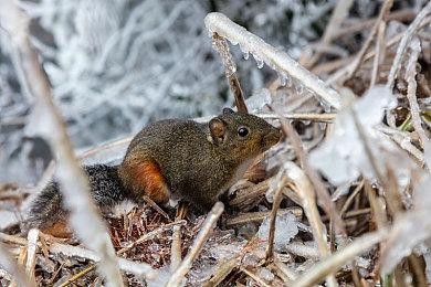 《使命召唤19：现代战争2》欧洲销量比前作高73%